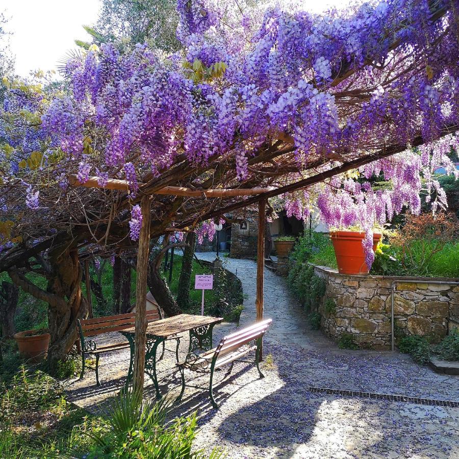 Villa La Vivagna - Casa Vista Mare Tra Gli Ulivi Leivi Exterior foto